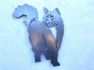 INT35 - Chat Angora